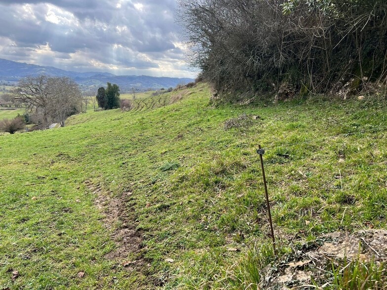 Alameda Cuenya, 25, Nava, Asturias for sale - Site Plan - Image 3 of 4