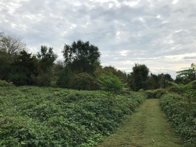 Westminster Dr, Carlisle, PA for sale Other- Image 1 of 1