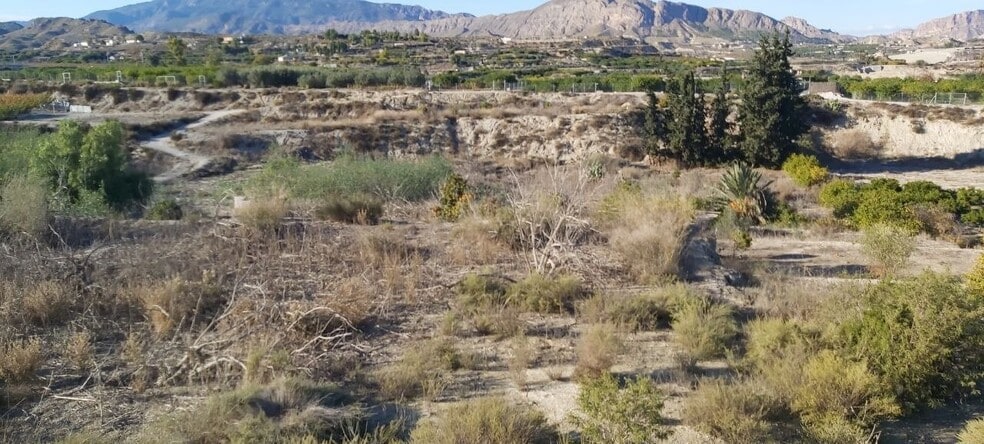 los, Villanueva del Río Segura, Murcia for sale - Aerial - Image 1 of 1