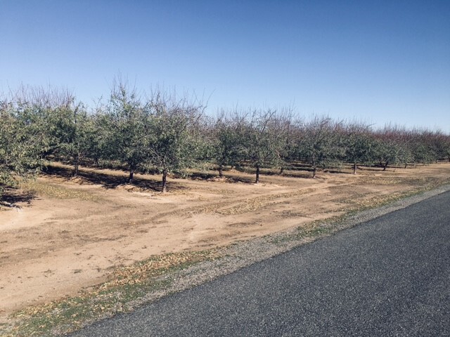 Arbuckle Vicinity, Arbuckle, CA 95912 - Land for Sale | LoopNet