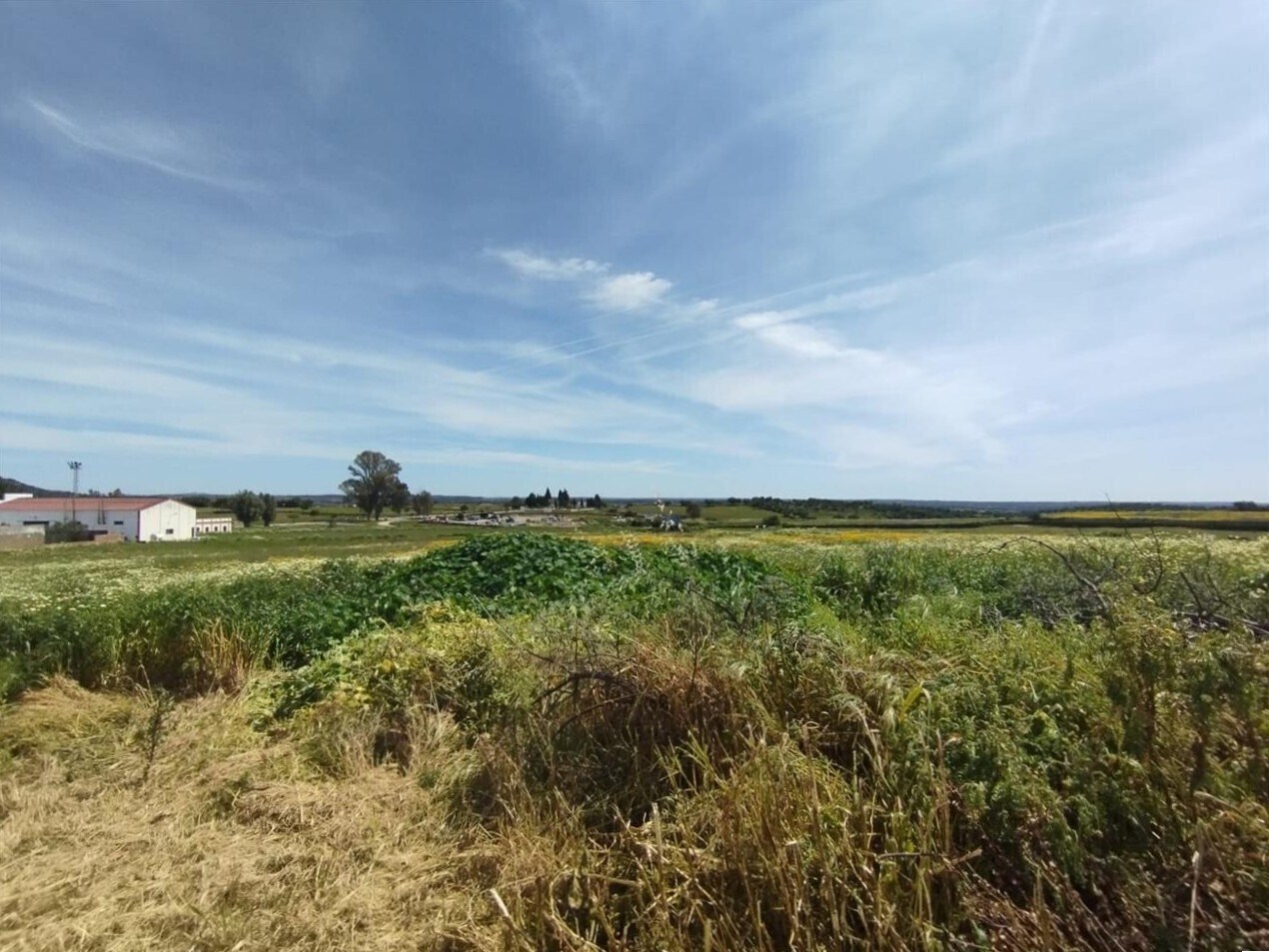 Land in Alosno for sale Building Photo- Image 1 of 28