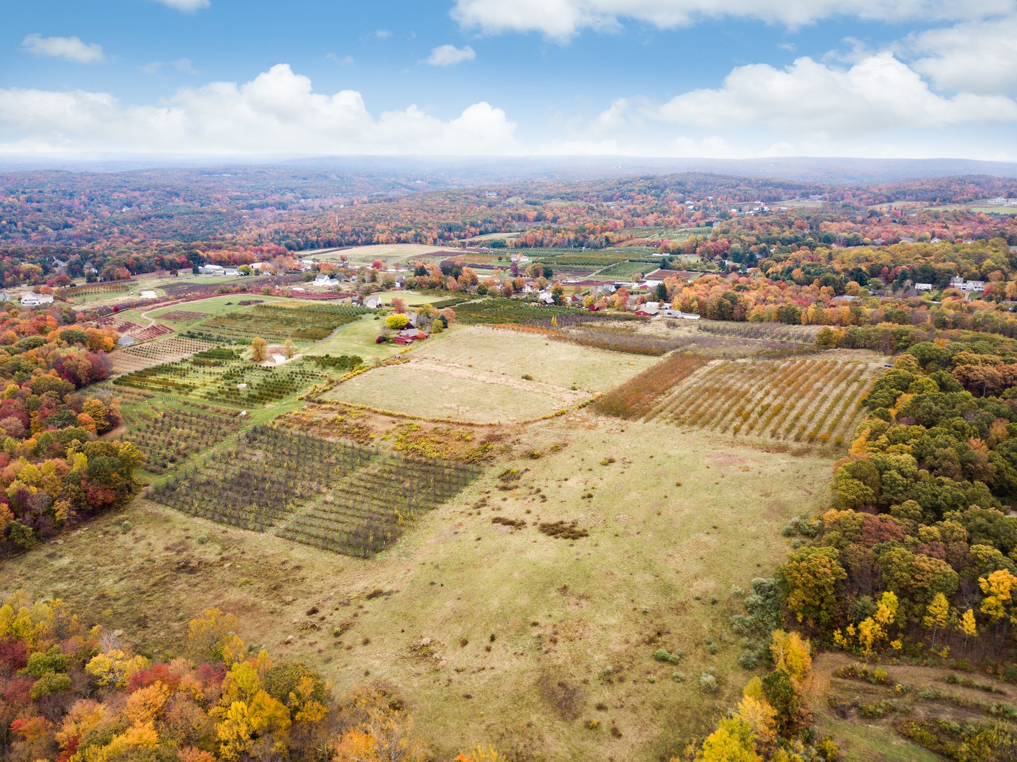 460 Matson Hill Rd, South Glastonbury, CT 06073 HiGait Farms