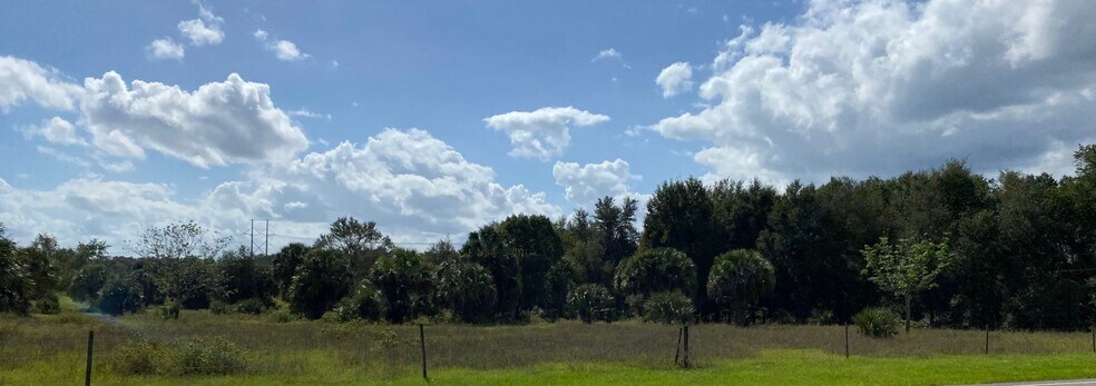 Jubilee Way, Sorrento, FL for sale - Primary Photo - Image 1 of 1