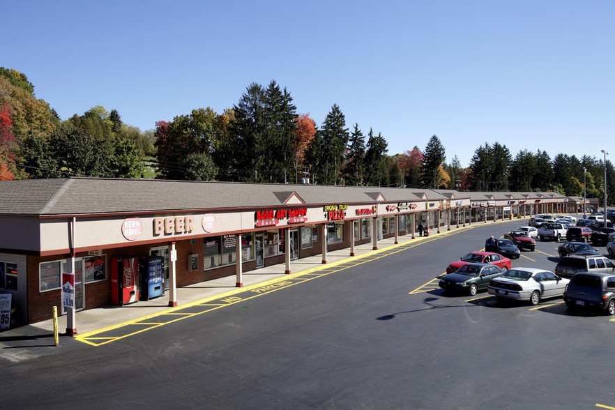 40-65 Dallas Shopping Ctr, Dallas, PA for lease - Building Photo - Image 2 of 9