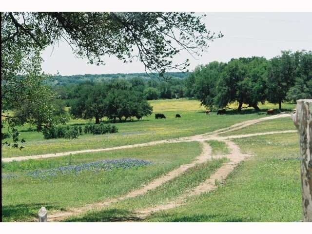 Land in Georgetown, TX for sale - Primary Photo - Image 1 of 1