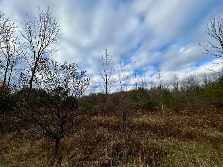 4056 Horseshoe Valley Rd W, Minesing, ON for sale - Other - Image 2 of 7