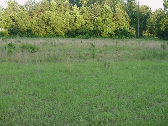 125 US HWY 13, Windsor, NC for sale Primary Photo- Image 1 of 1