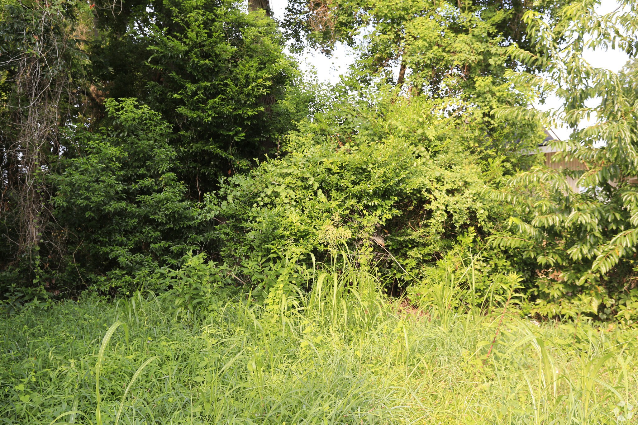 805 E 68th St, Savannah, GA for sale Primary Photo- Image 1 of 1