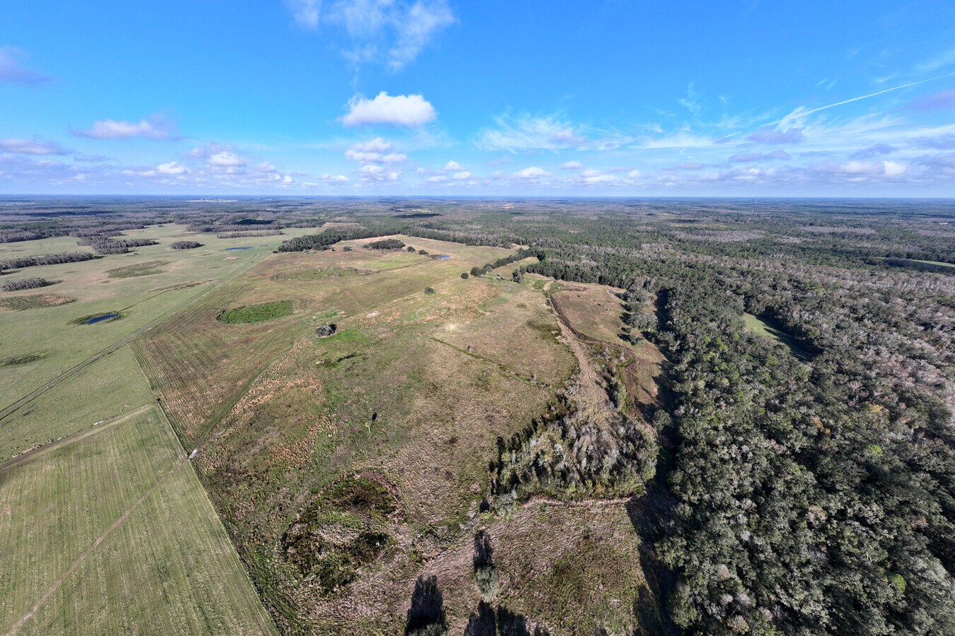 Old Dade City Road, Kathleen, FL 33849