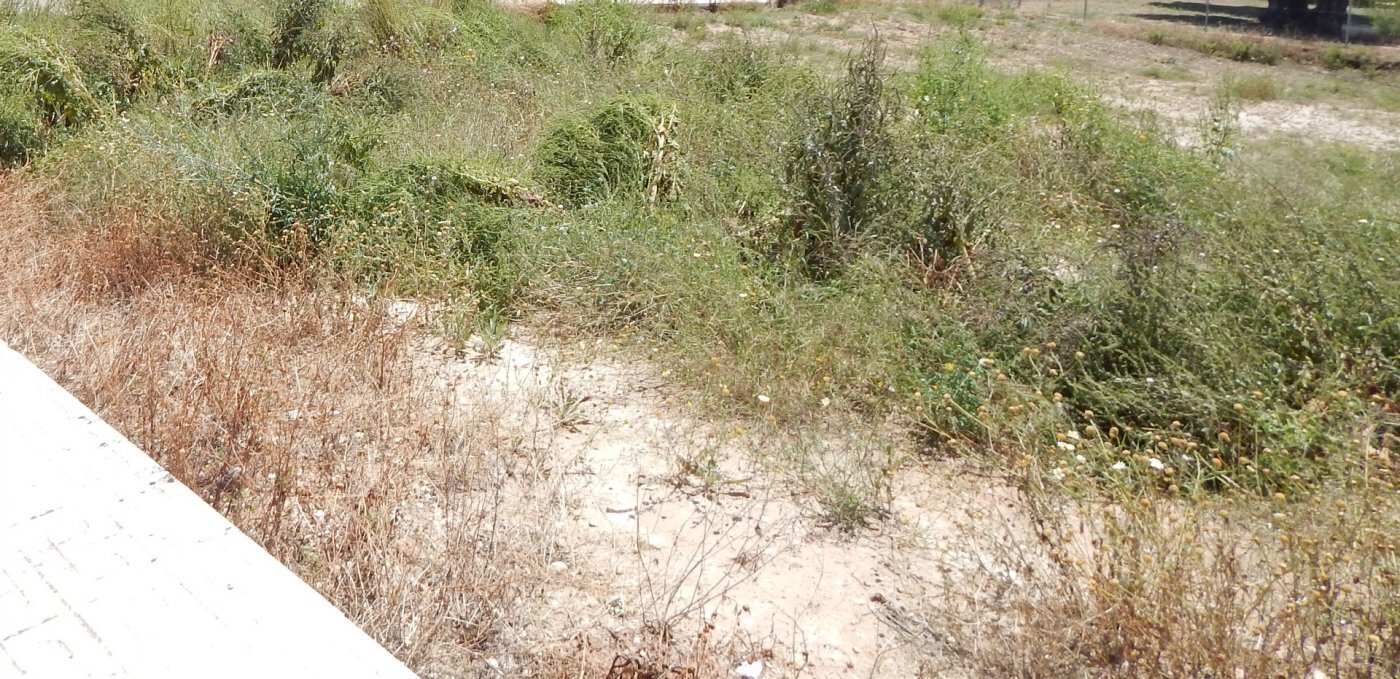 Land in València for sale Building Photo- Image 1 of 4