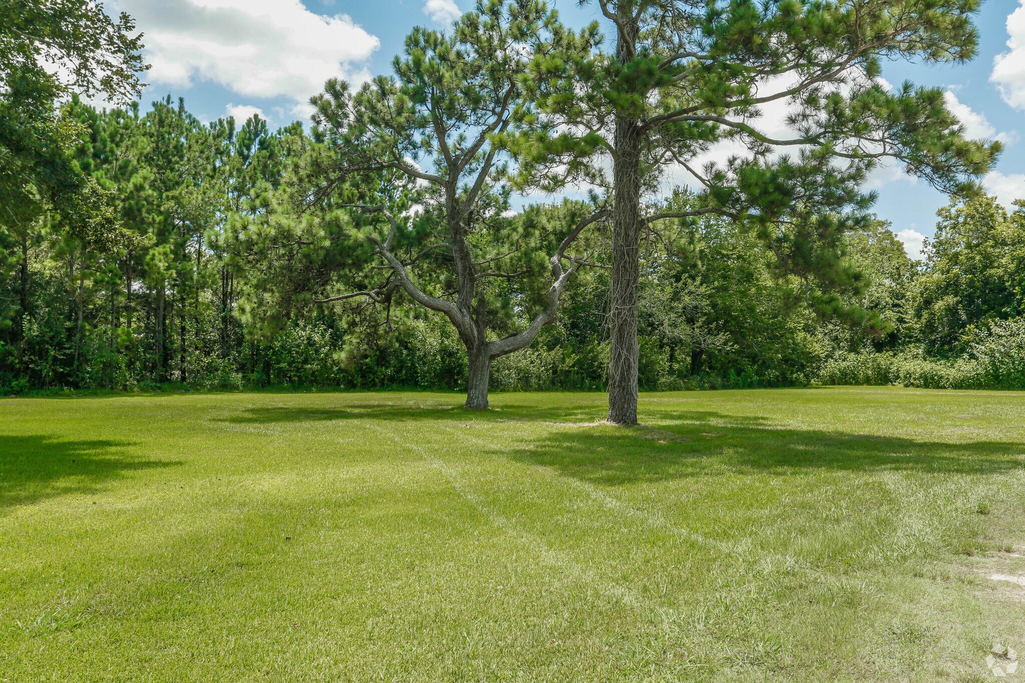 Manvel Rd, Pearland, TX for sale Primary Photo- Image 1 of 1