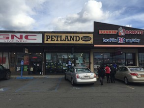 Petland queens clearance