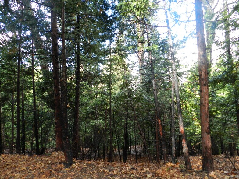 Hitching Post Rd, Sonora, CA for sale - Primary Photo - Image 1 of 1