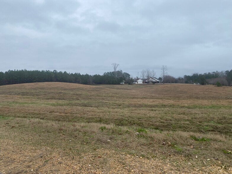 1200 Fawn Grove Road, Mantachie, MS 38855 Land for Sale