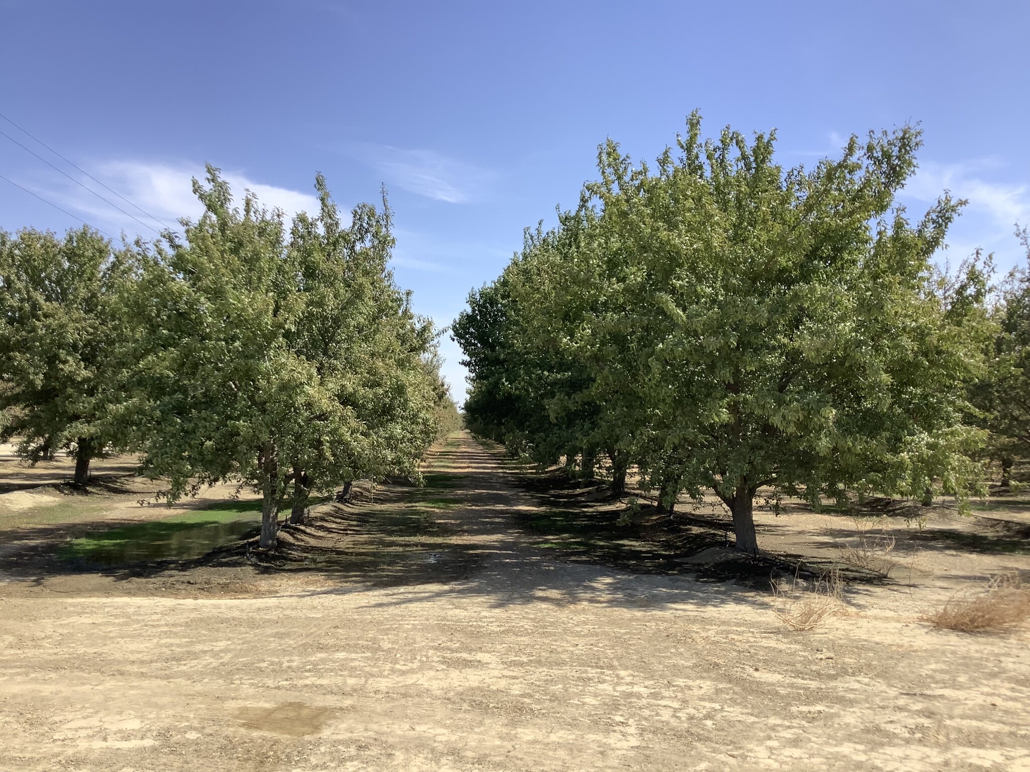 McCombs Rd, Wasco, CA 93280 | LoopNet