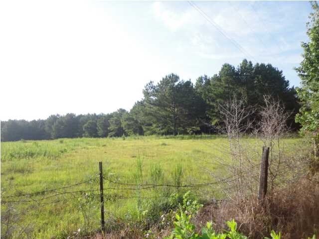 Spice Pond Rd, Eight Mile, AL for sale Primary Photo- Image 1 of 1