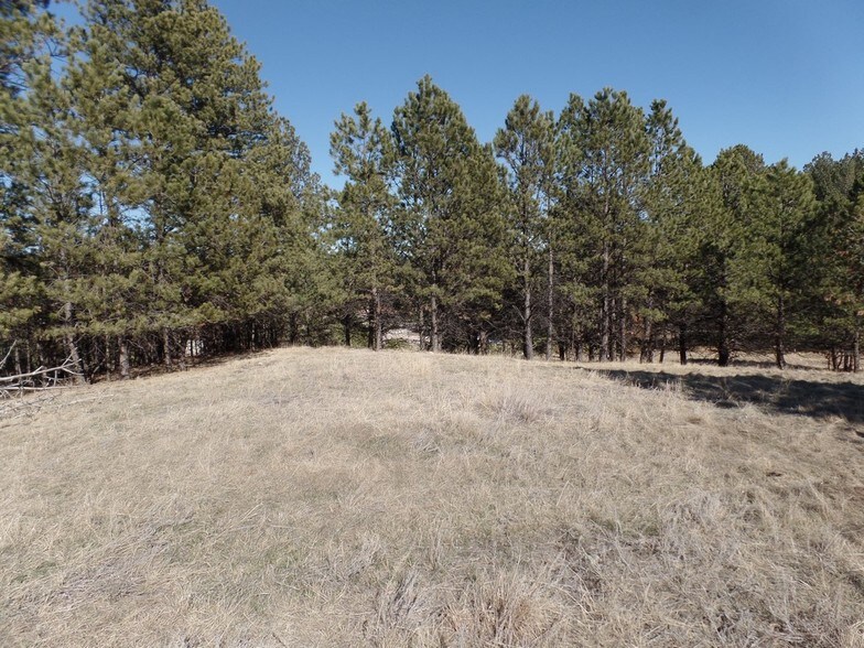 116 Trails End Ct, Custer, SD for sale - Other - Image 1 of 1