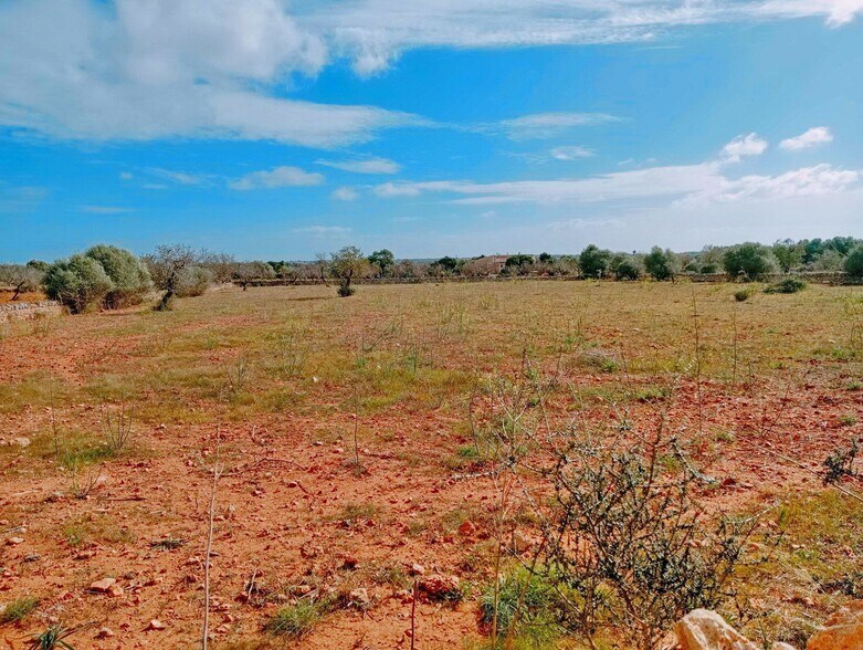 Land in Santanyí, Islas Baleares for sale - Aerial - Image 1 of 6