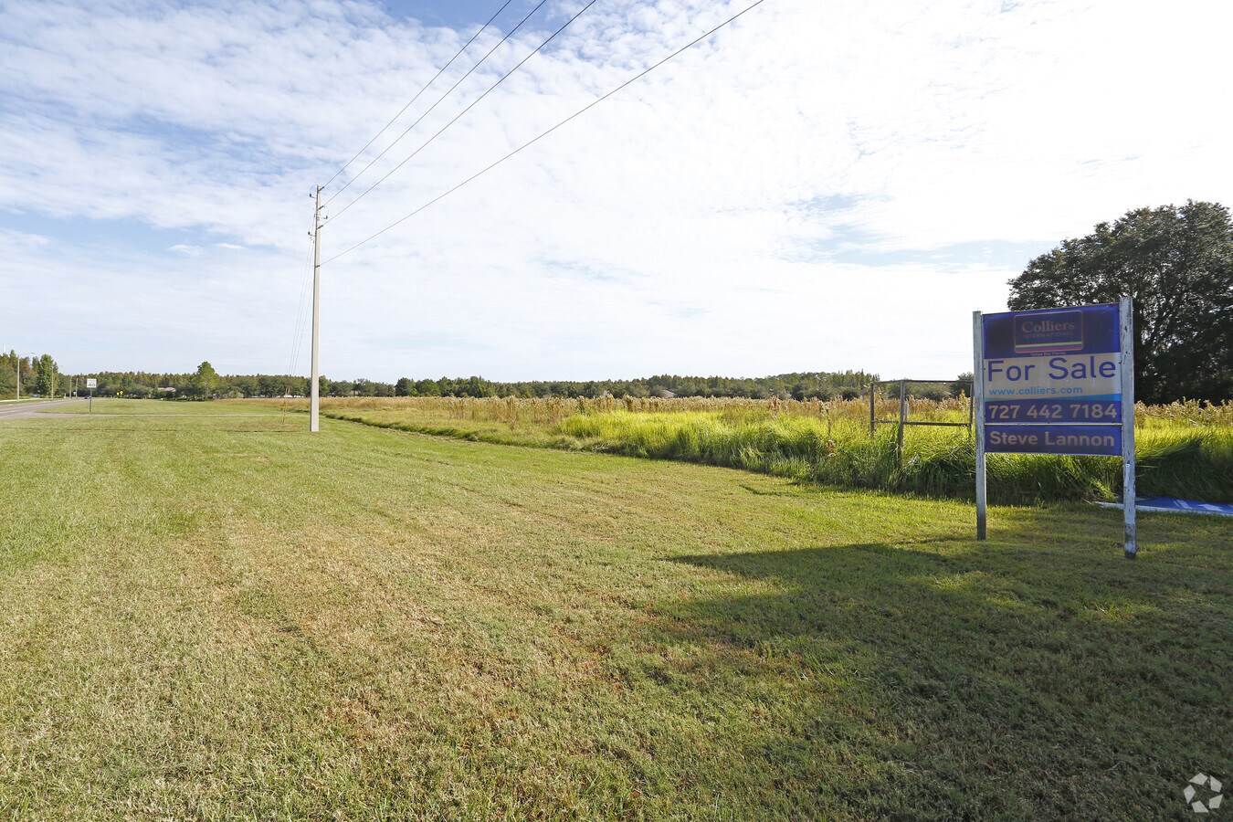 Meadow Pointe Blvd, Wesley Chapel, FL 33543