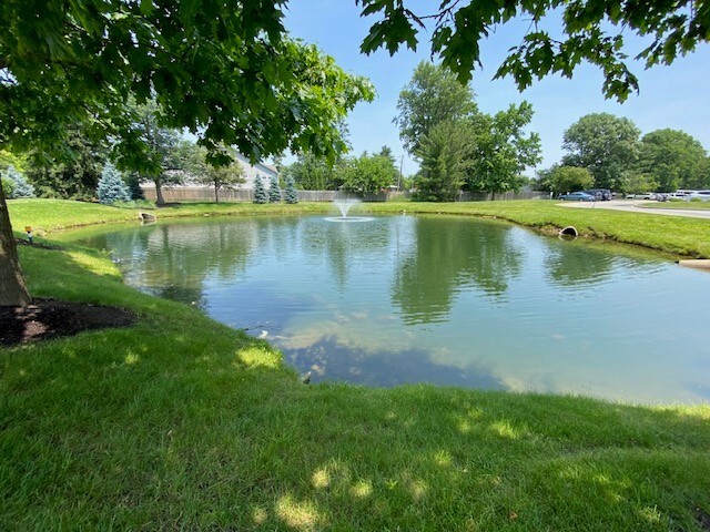 View Photo