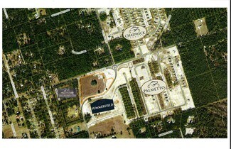 More details for Cajer Posey Rd, Crawfordville, FL - Land for Sale