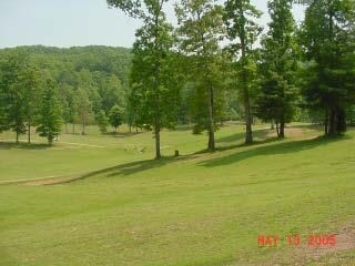 795 Tuskegee Dr, Oak Ridge, TN for sale Primary Photo- Image 1 of 1