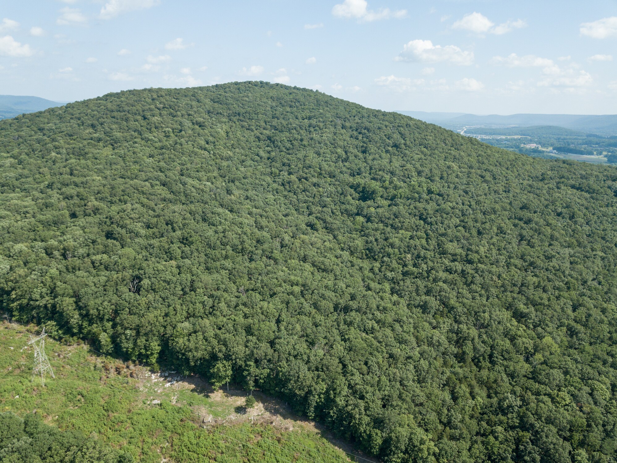 Dug Hill Road, Brownsboro, AL 35741 Dug Hill Acreage