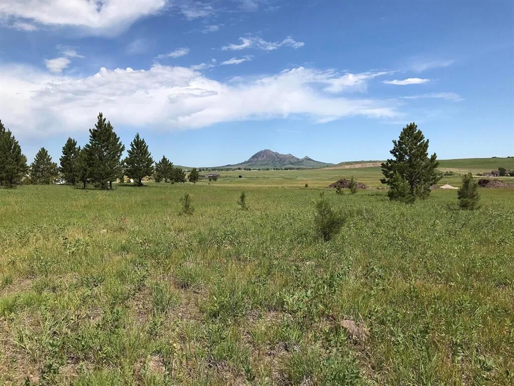 Oak Ridge Road Conditions at Martin Hwang blog