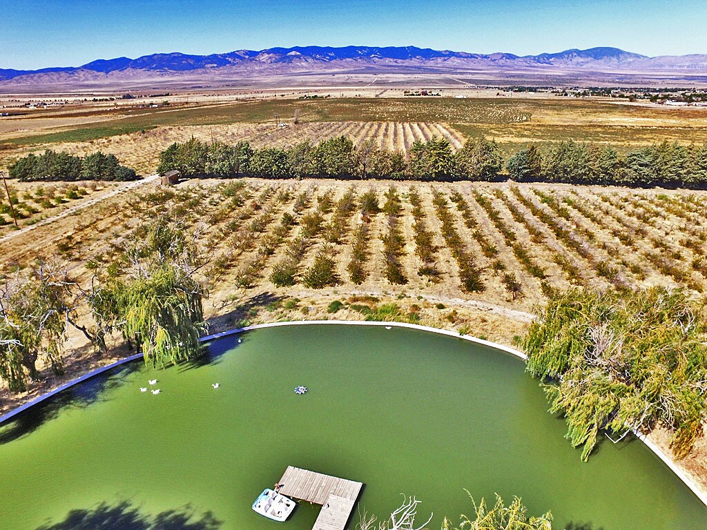 3 Points Rd, Lake Hughes, CA 93532