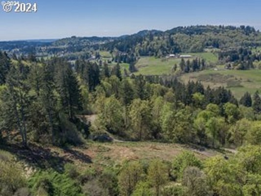 0 Rugg Rd, Damascus, OR for sale - Site Plan - Image 2 of 10