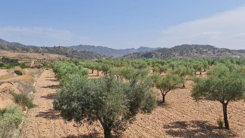 Land in Abanilla for sale - Building Photo - Image 3 of 8