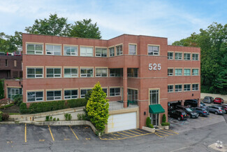 More details for 525 Northern Blvd, Great Neck, NY - Office for Lease