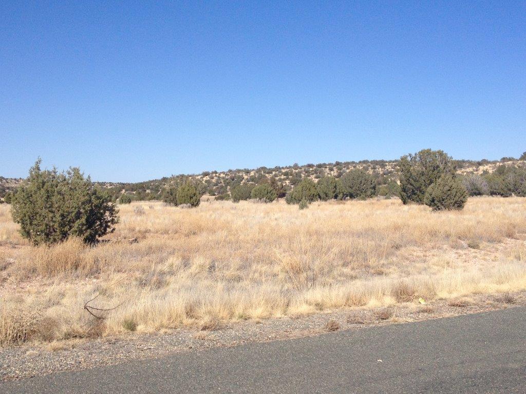Verde Ranch Aiken Ranch Rd, Paulden, AZ for sale Primary Photo- Image 1 of 1