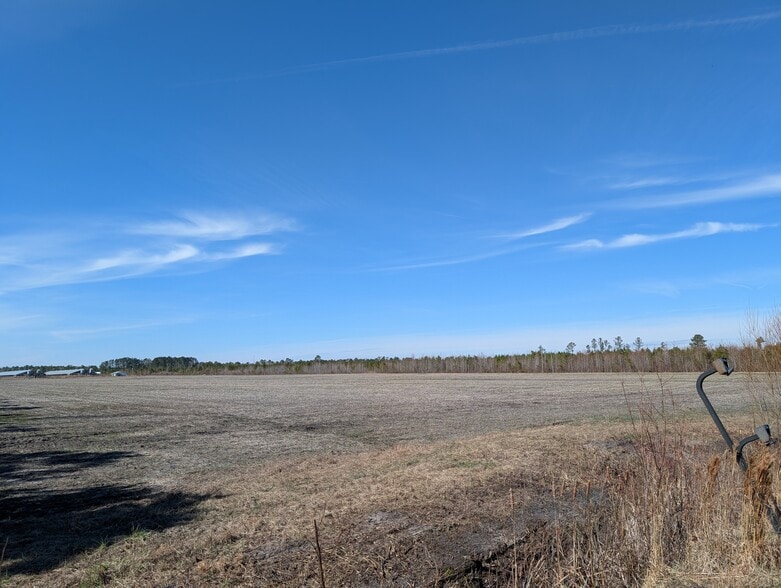 522 Plum Nearly Ln, Trenton, NC for sale - Building Photo - Image 3 of 24