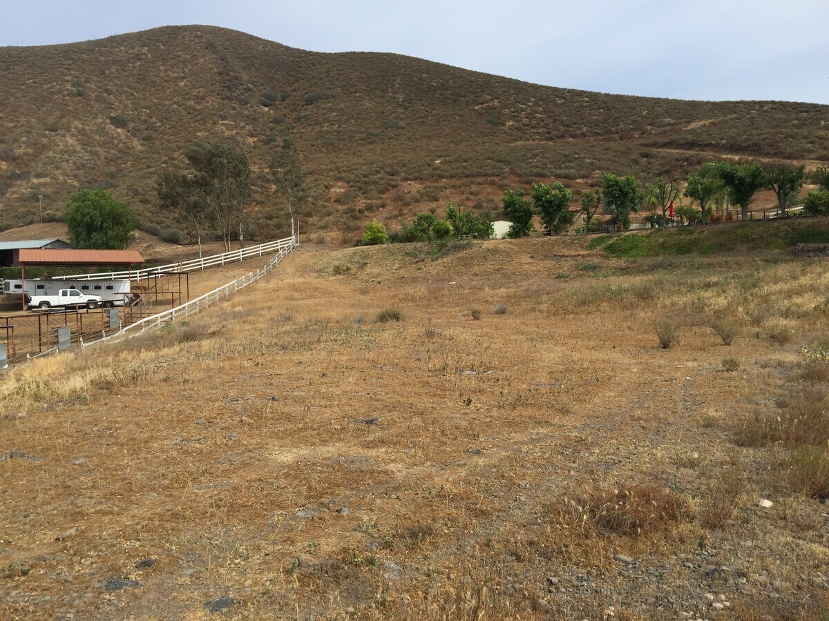 View Photo