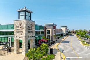 101-295 Rice Lake Sq, Wheaton IL - Retail Space