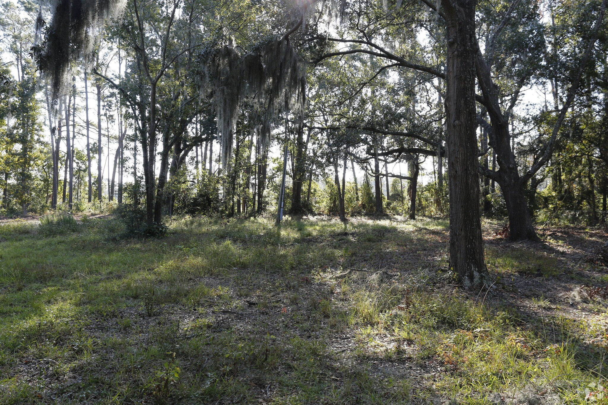 6807 Johnny Mercer Blvd, Savannah, GA for sale Primary Photo- Image 1 of 1