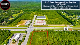 More details for 20950 U.S. 43, Mount Vernon, AL - Land for Sale