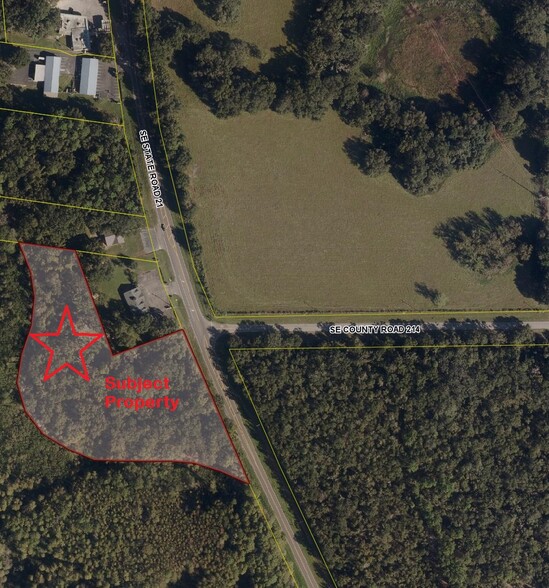 N State Road 21 Rd, Melrose, FL for sale - Building Photo - Image 3 of 3