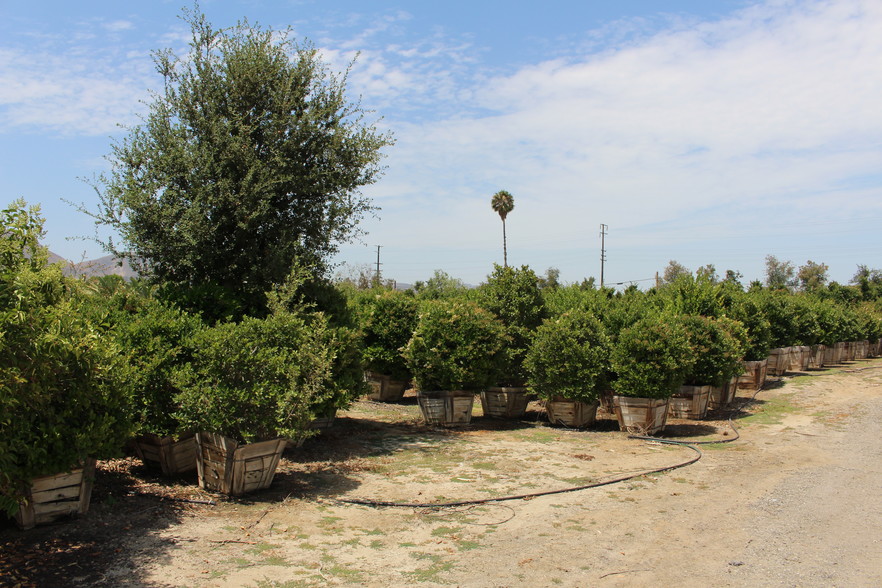 1363 Chambersburg Rd, Fillmore, CA for sale - Building Photo - Image 1 of 1