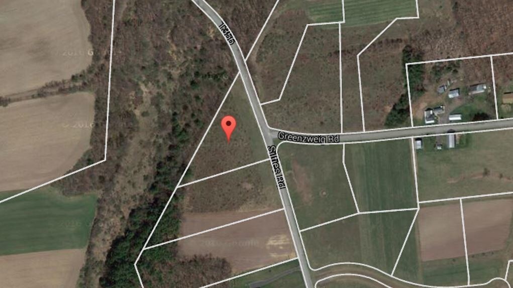 Greenzweig & Silfies Rd, Kunkletown, PA for sale Primary Photo- Image 1 of 1