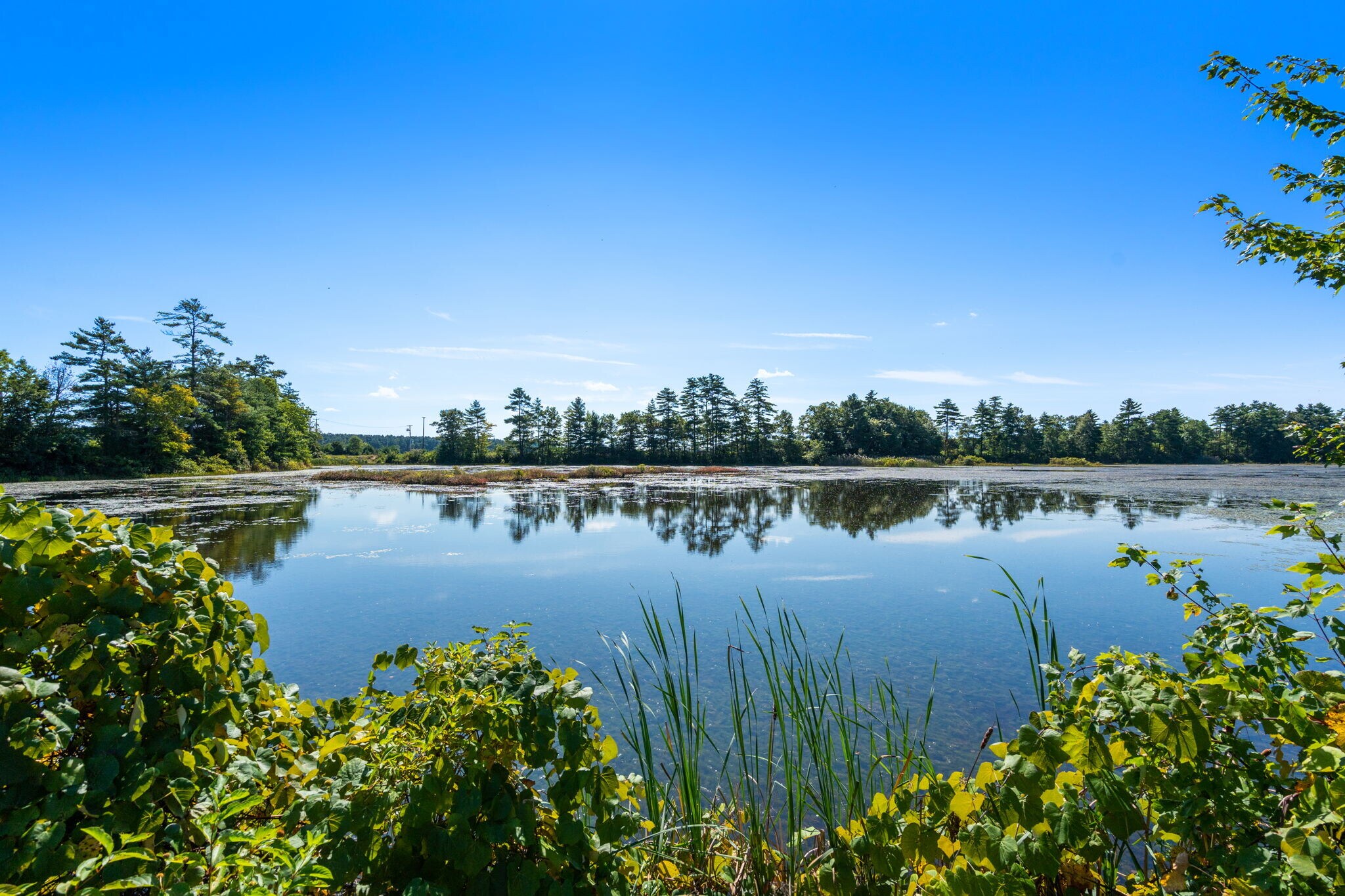 00 fuller street, Carver, MA 02330 John's Pond 0 Silva St. Carver MA