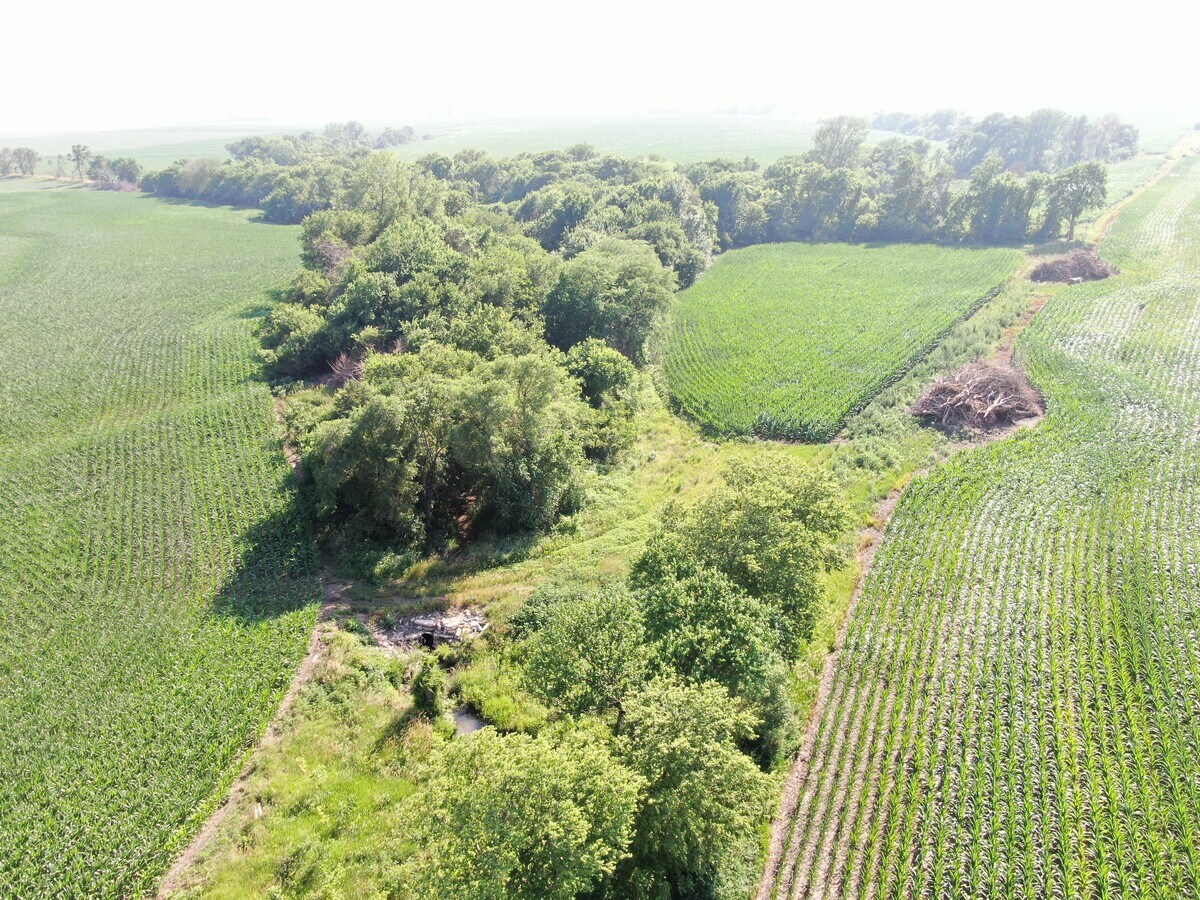 280th, Morrill, KS 66515 Online Auction! 78.6 Acres, Brown County, KS