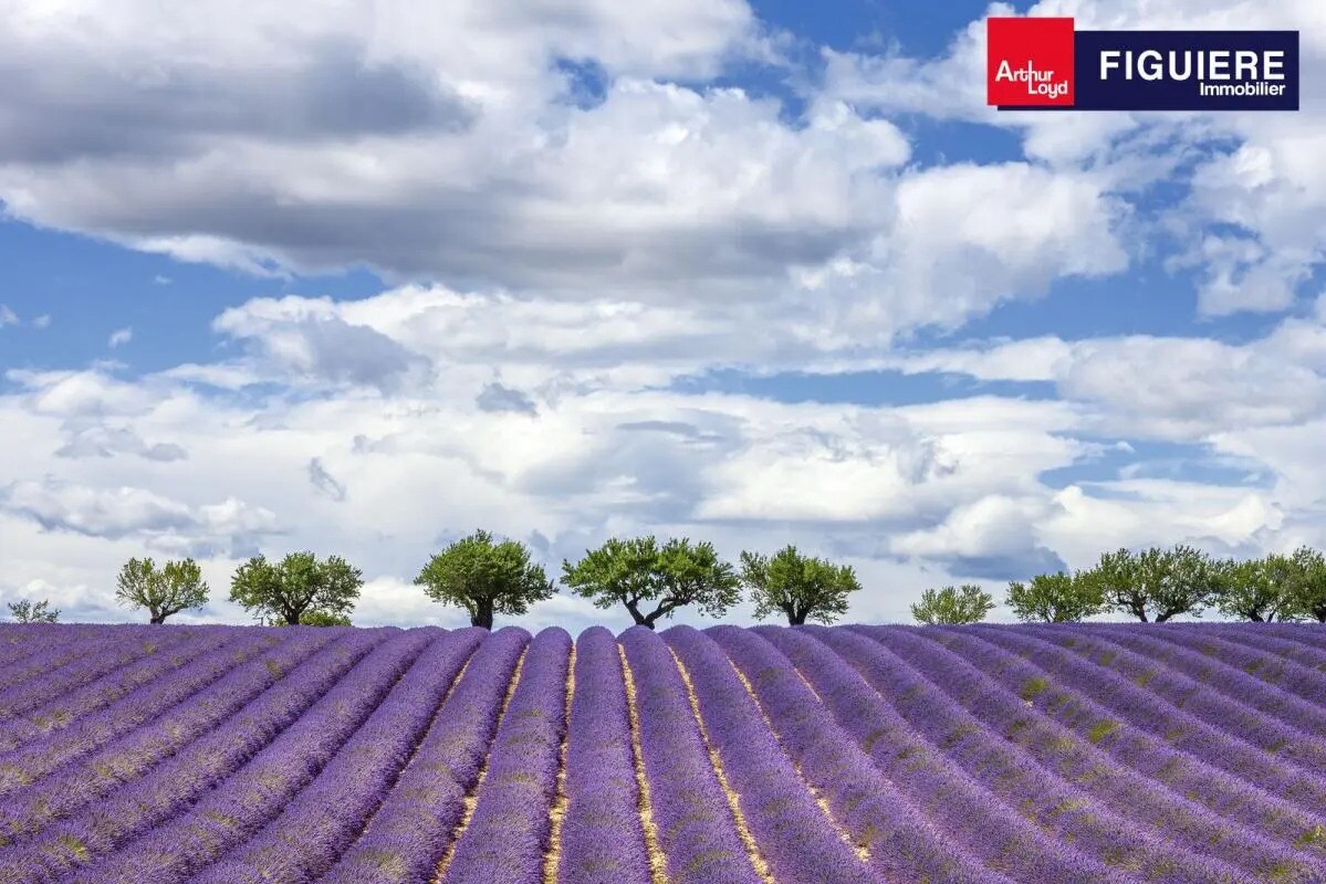 Retail in Salon-de-Provence for lease Building Photo- Image 1 of 4