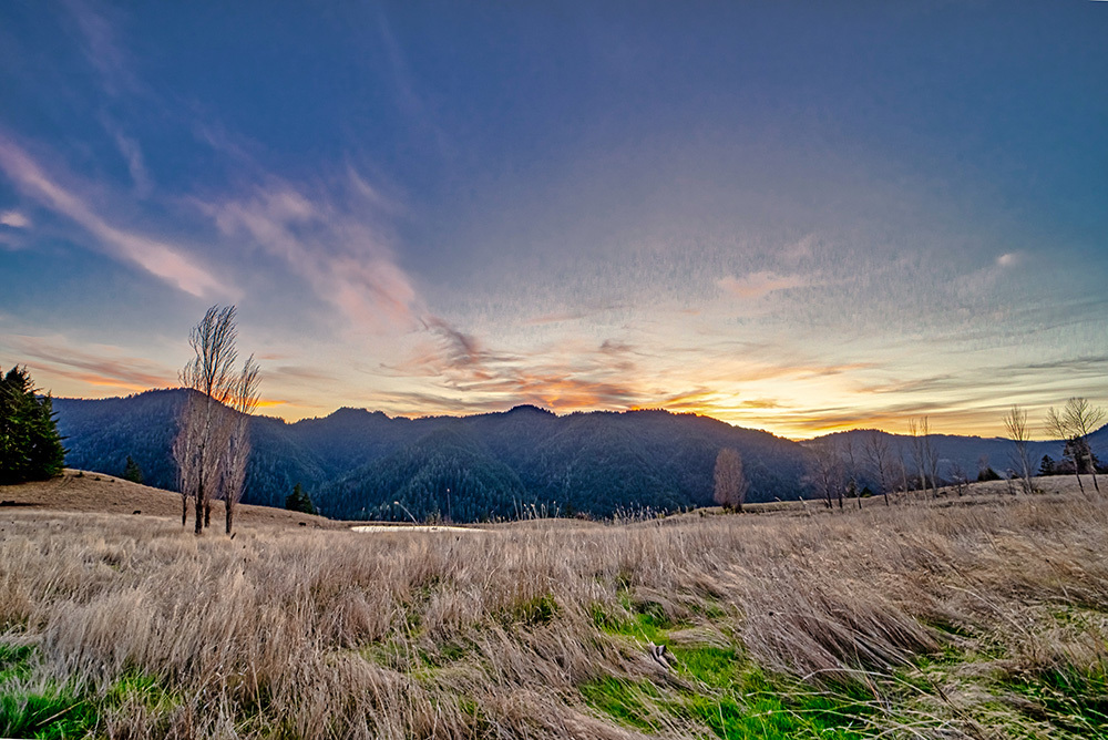 24748 Maple Creek Rd, Korbel, CA for sale Primary Photo- Image 1 of 1