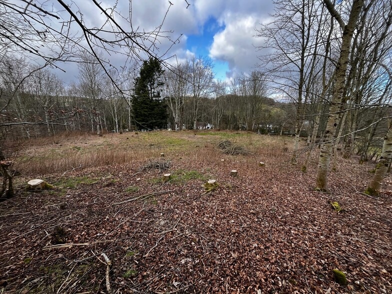 Parkdaill, Hawick for sale - Other - Image 3 of 3