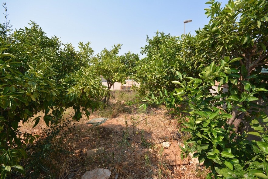 Land in Marratxí, Islas Baleares for sale - Building Photo - Image 2 of 18