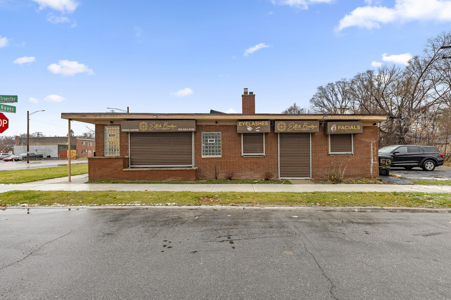 13000 Hayes St, Detroit, MI for sale - Building Photo - Image 3 of 43