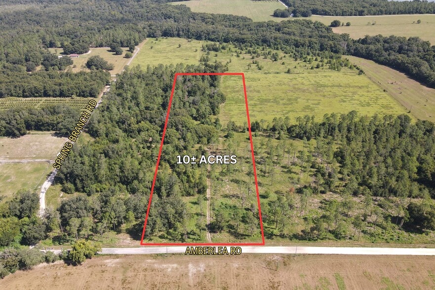 Amberlea Rd, Dade City, FL for sale - Aerial - Image 1 of 11