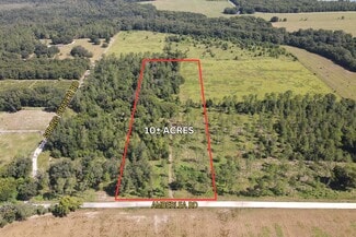 More details for Amberlea Rd, Dade City, FL - Land for Sale